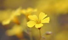 有关人生哲理的句子亲情