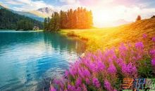 爱是希望你开心幸福的句子