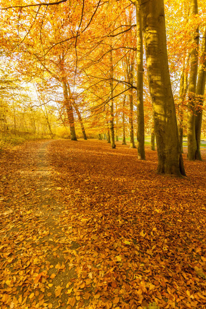 16.八(4)名精英,敢于拼搏,共同努力,为成功而努力