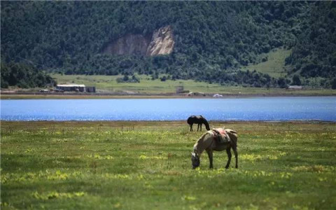 不要浮躁的座右铭1