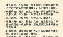 形容老人的句子