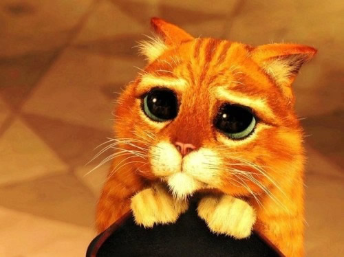 20.我对半途打车感觉不对,所以我对主人说:“嘿,我从来没走过这样的路吗?”主人平静地说:“他们有选择,我有选择。 ,您将永远实现自己的目标,但是如果您选择我,就必须走这条路。”