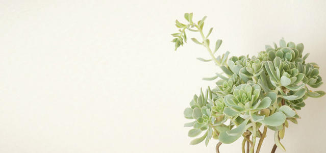 11.只有疯狂地收集赃物，我的心情才会变得更好。