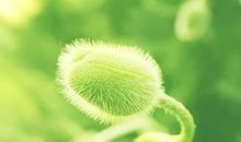 想自己朋友过得开心的句子 如何让朋友开心的句子