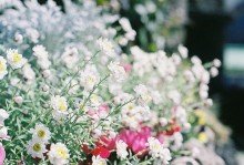 完整的句子比较短1