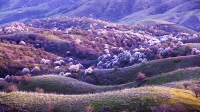 11.夕阳的余辉，映着五彩缤纷的云朵，面对微风，朝着天空，微风，传递着节日的问候，向远方漂去，希望您拥有这美丽，快乐的端午节。