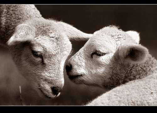 亲情有哲理的句子说说心情短语