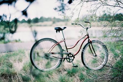 39.在生活中,无论时间多么无聊,它也是限量版。