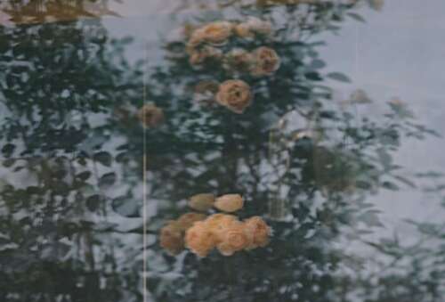 致自己一路走来的句子 一路走来的经典说说心情