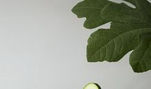 形容儿女亲情的句子