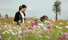 形容亲情破碎的句子