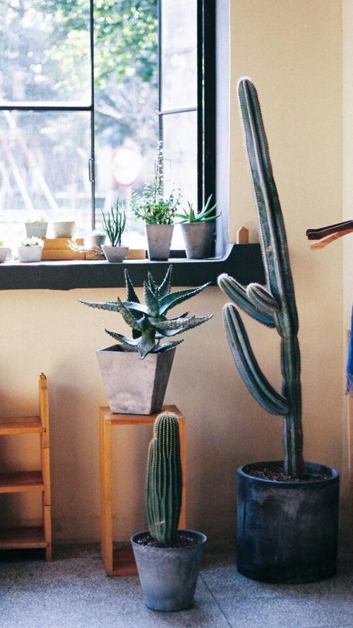 12.现在我已经长大了,我知道我应该以感恩的心去体谅我的父母,我应该照顾并尊重我的父母。