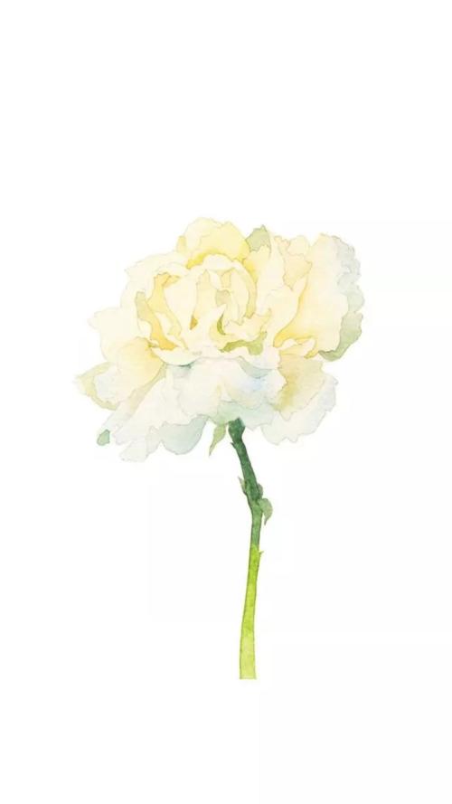 10.慈爱的母亲的手臂是由爱制成的。孩子们怎能不甜甜地入睡呢?