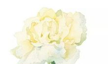 用对比手法写关于亲情的句子