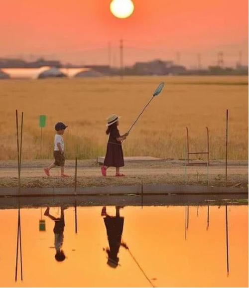 表达亲情的句子你若真心待我 2