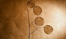 对未来迷茫的句子