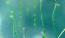 朱自清的春好词好句