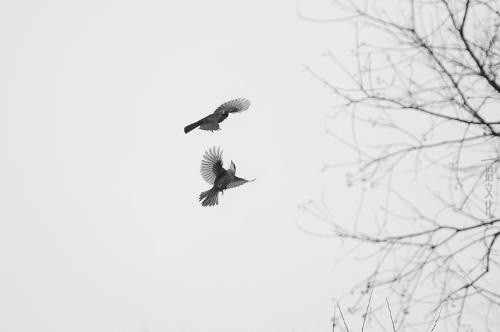 20.当春天的花朵盛开时，我期待着夏天的花朵灿烂。当秋天的落叶落下时，我也很期待冬天下雪。等待！真漂亮。等候！多么优雅的外观。