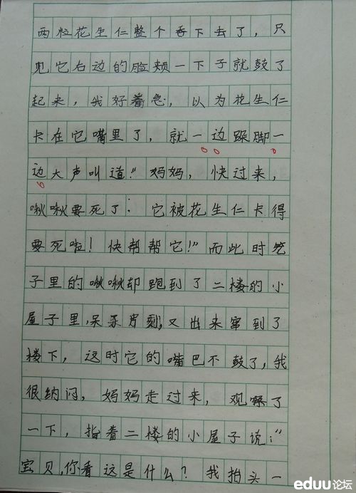 描述父母外观的段落