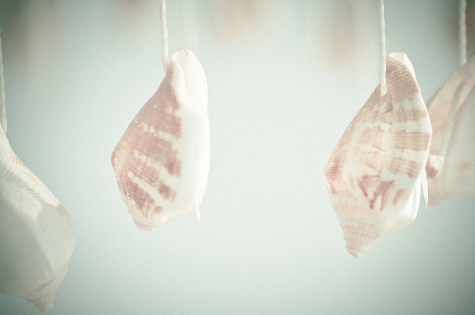 20.那些人，那些事物，那些以及那些都已经成为过去的过去