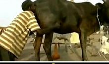 是什么社会背景让你如此肆无忌惮