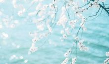 感悟亲情浓厚的句子