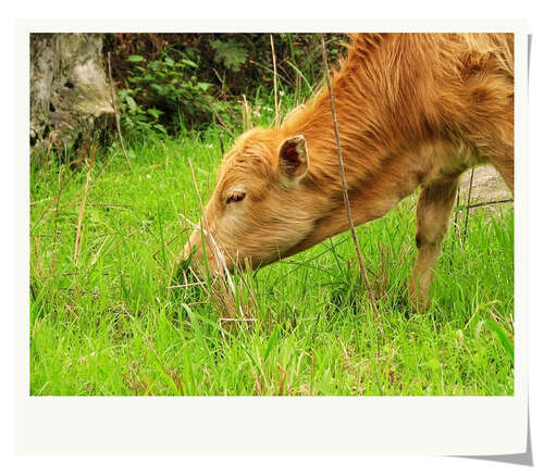 对故乡简介的励志句子