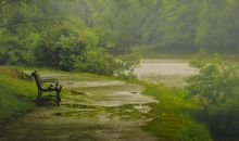 亲情与家人的感情句子