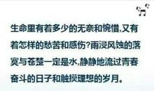 平凡的世界经典句子