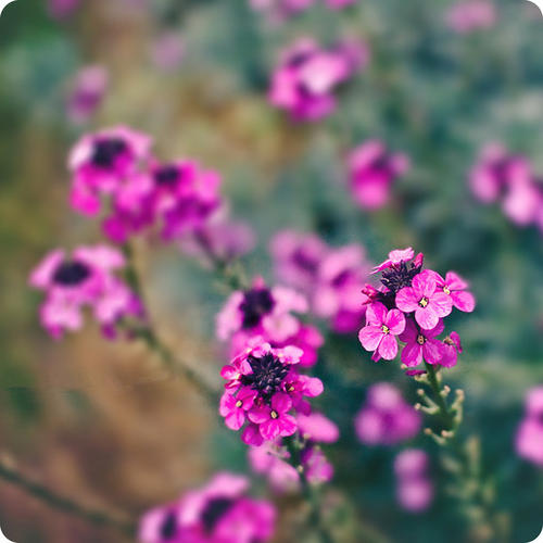 亲情互相帮助的句子 2