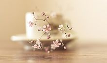 关于人生的优美句子