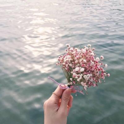 亲情互相帮助的句子