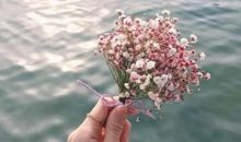 亲情互相帮助的句子