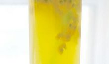 有关亲情的文言文句子