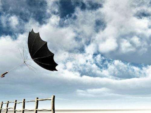 11.快乐时微笑,不快乐时稍后笑。