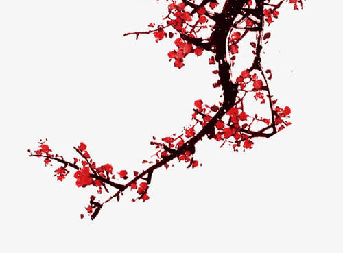 关于梅花的诗句 1