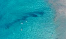 深情满满的句子亲情