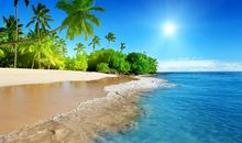 关于依赖亲情的句子