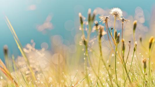 11.亲情可以养育人们的心灵,使生命之船充满阳光。