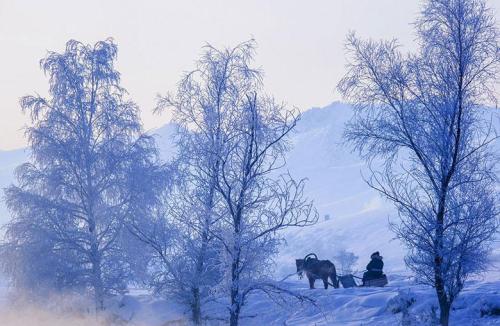 11.奉化是流沙,晚年是一段时期。