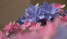 开开心心快快乐乐的句子早晨