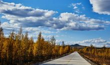 形容出门开心的句子