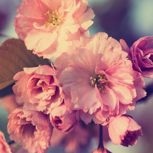 11.新鲜的空气,快乐的呼吸,通过空气射入您的灵魂,呼吸阳光,拾起幸福,泡一杯甜咖啡,品尝幸福的含义,接受祝福的信息,祝您早安,温暖。