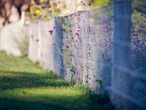 10.您仍然将我的胳膊放在我周围,并说海是干燥的,岩石是烂的。最终,你残忍了我的整个宇宙。