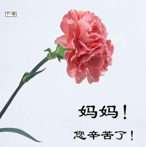 祝福妈妈