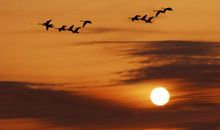 形容的后悔的句子