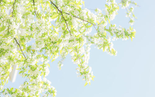 10.床前有个明月，怀疑是地面结霜。抬头看着明亮的月亮，低头看着家乡。