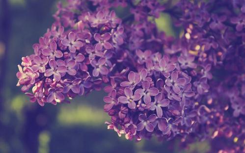 12.家庭感情，世界上最美丽的情感。