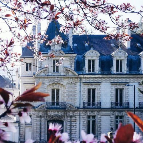 10.我有一个最好的朋友，她全心全意，一言不发，偶尔感到不满。尽管起初并不那么好，但是在在一起经历的日子里，他们彼此之间有坚定的心。