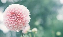 英语关于亲情的句子